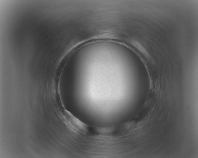 X0000083001356200702081849
