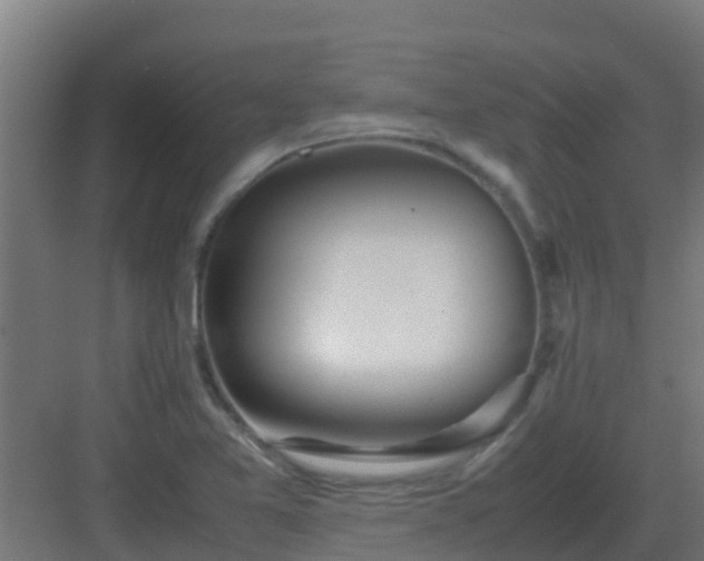 X0000083001365200702081849