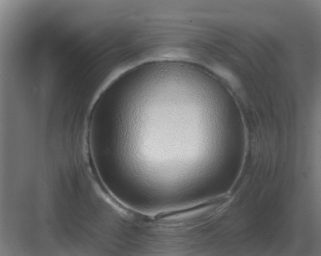 X0000083001374200702081849