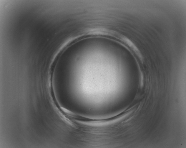 X0000083001376200702081849