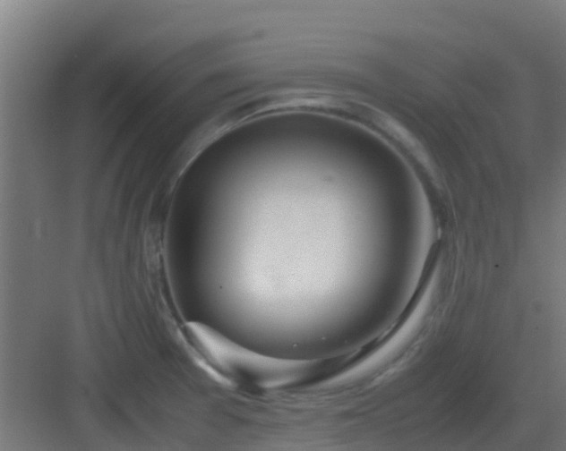 X0000083001377200702081849