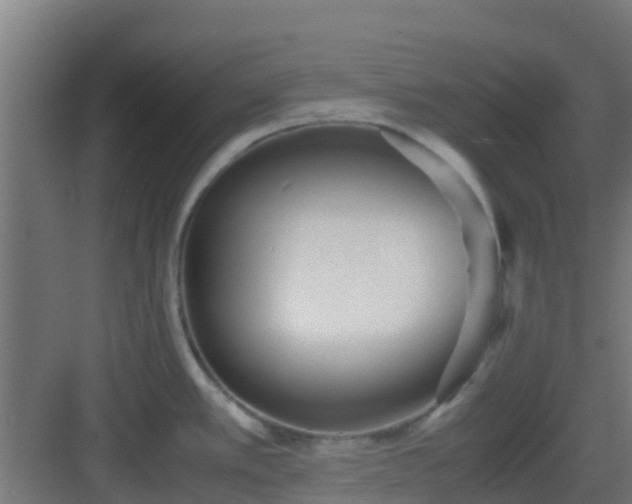 X0000083001389200702081849