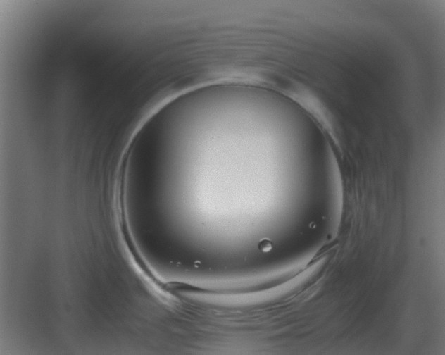 X0000083001391200702081849
