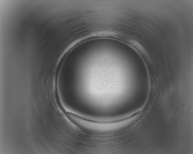 X0000083001420200702081848