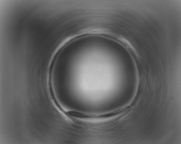 X0000083001424200702081849