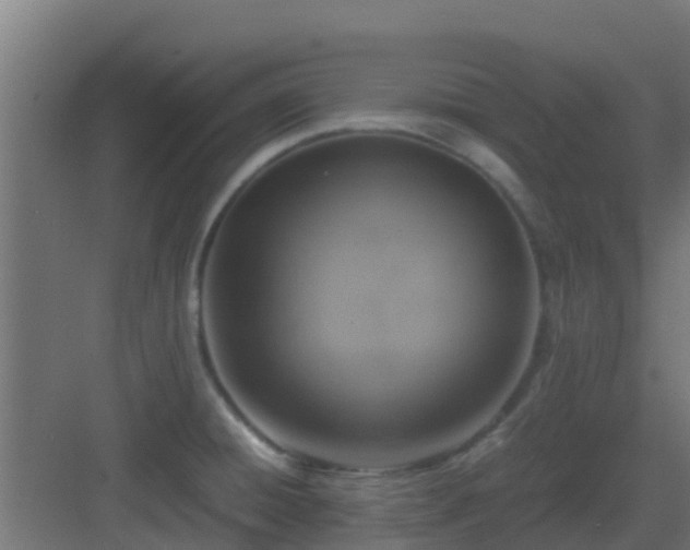 X0000083001428200702081849