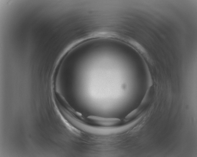 X0000083001430200702081849