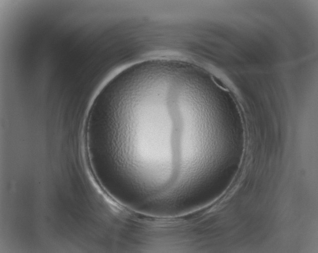 X0000083001440200702081849