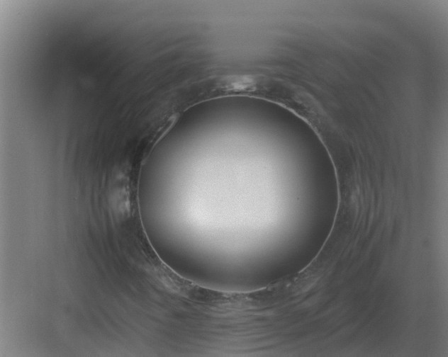X0000083001442200702081848