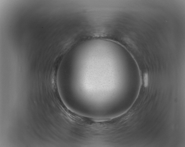 X0000083001444200702081848
