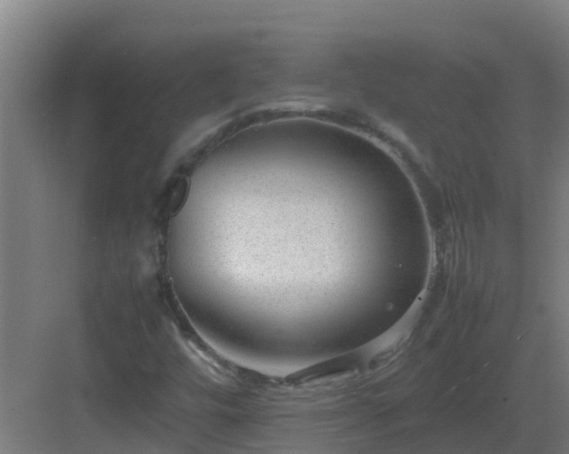 X0000083001448200702081848