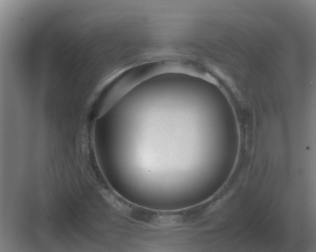 X0000083001453200702081848