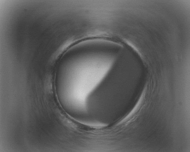X0000083001455200702081848