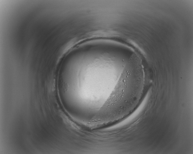 X0000083001459200702081848