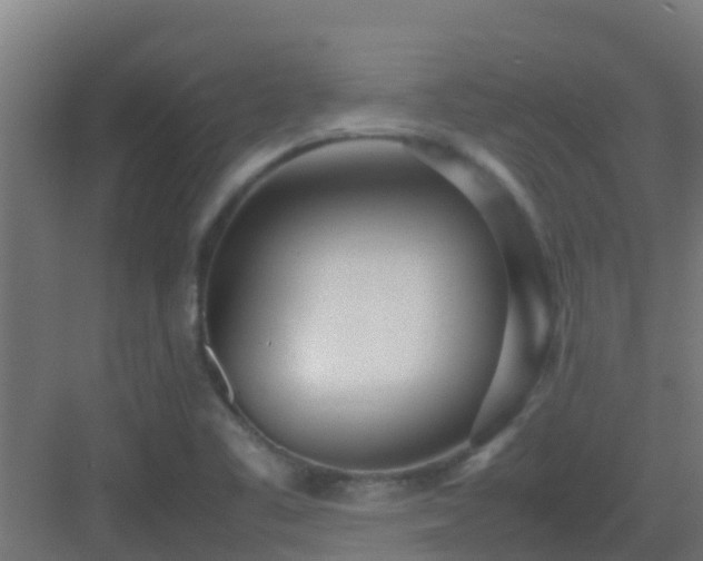 X0000083001461200702081848