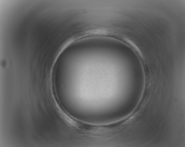 X0000083001475200702081847
