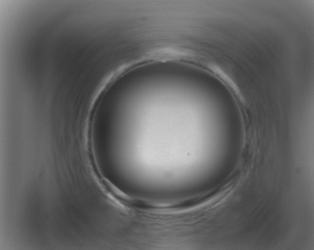 X0000083001477200702081847