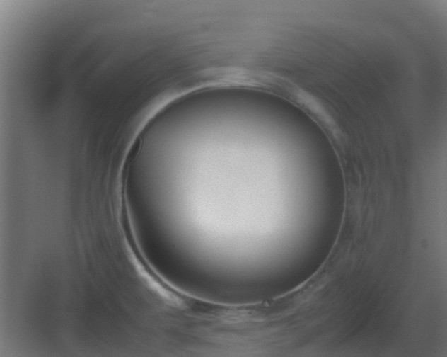 X0000083001479200702081847