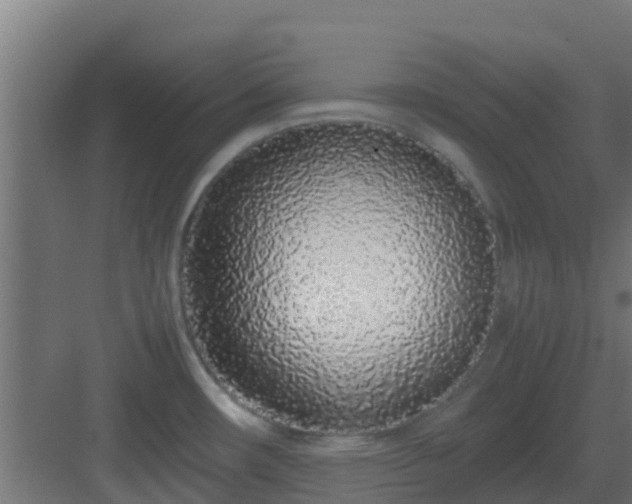 X0000083001482200702081847
