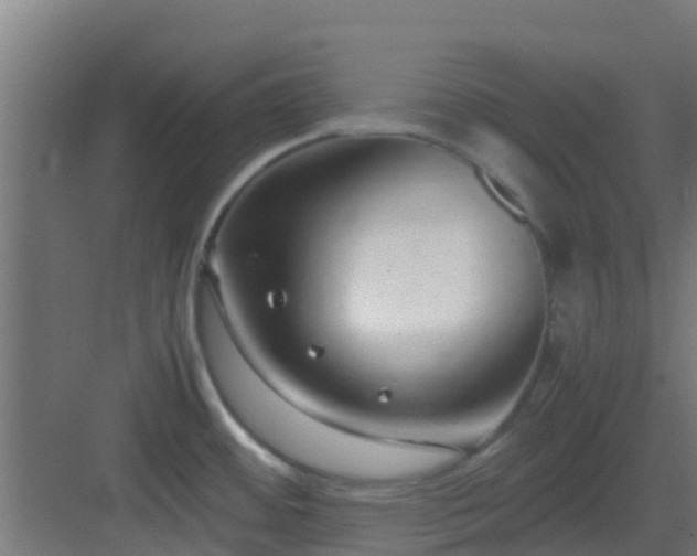 X0000083001484200702081847