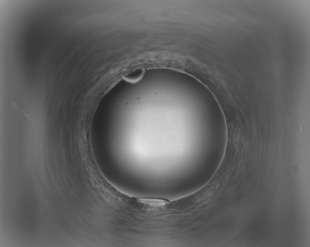 X0000083001489200702081846