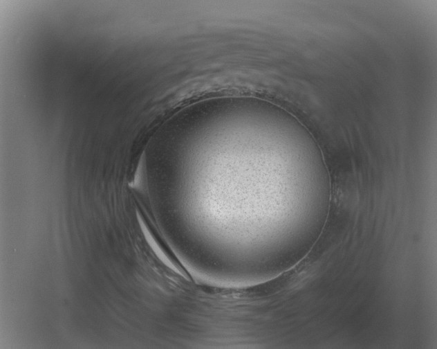 X0000083001490200702081846