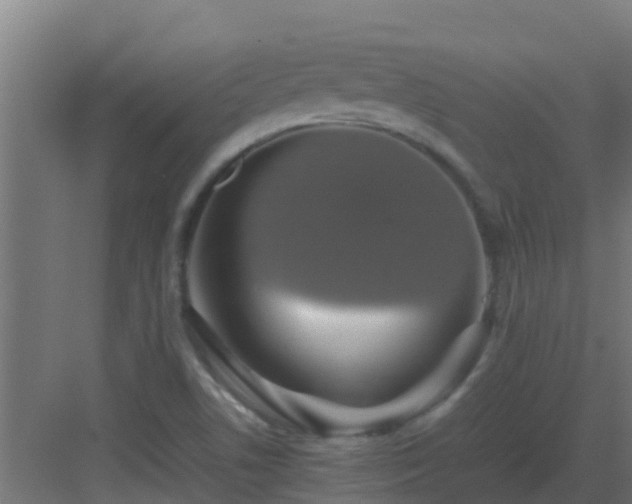 X0000083001506200702081847