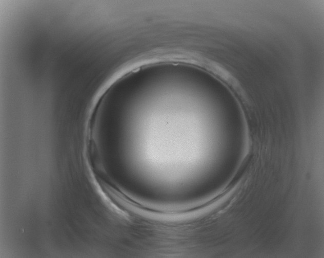 X0000083001520200702081847