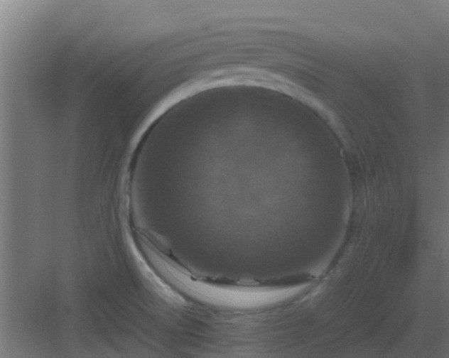 X0000083001522200702081847