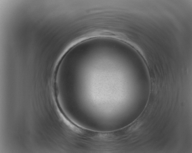 X0000083001531200702081847
