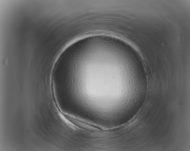 X0000083001535200702081847