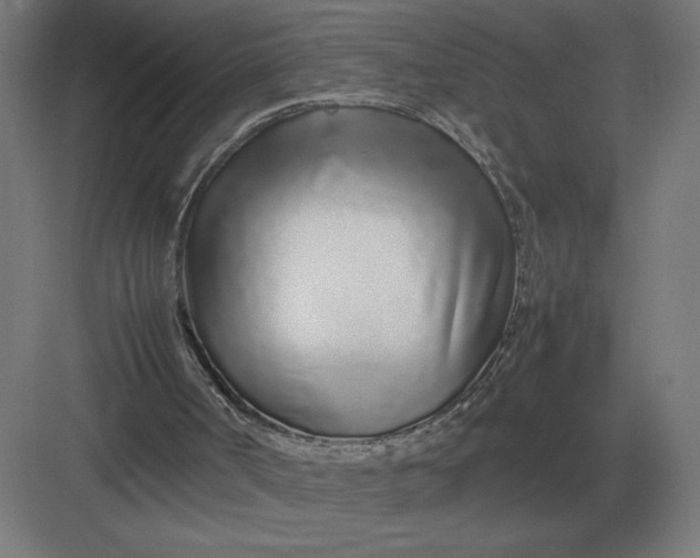 X0000083000002200702160101