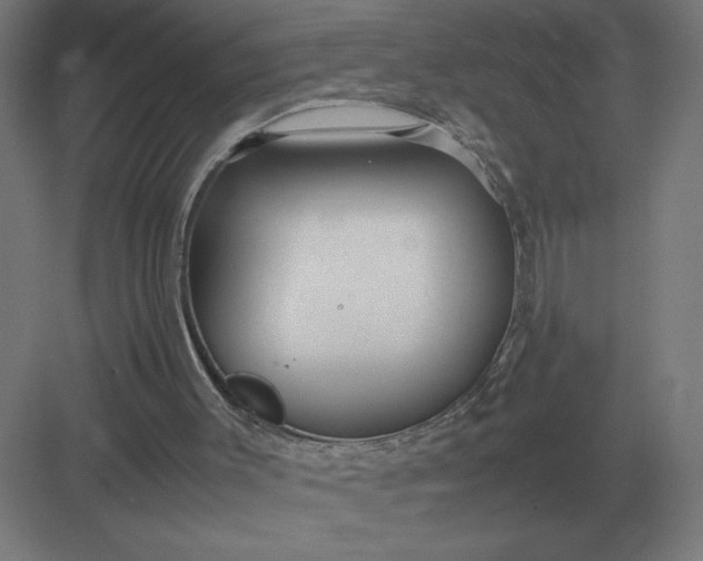 X0000083000003200702160101