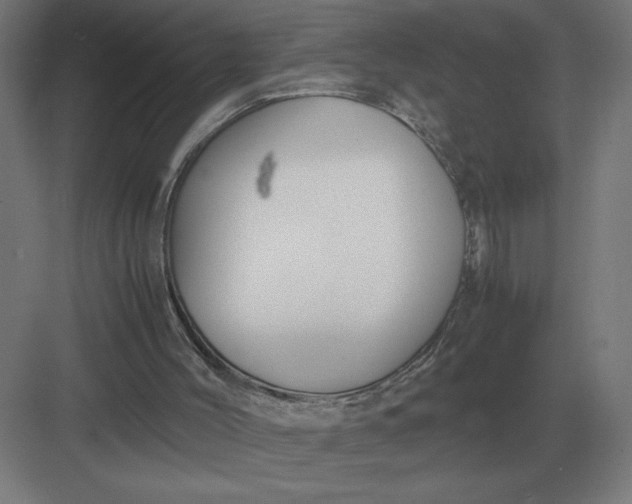 X0000083000004200702160101