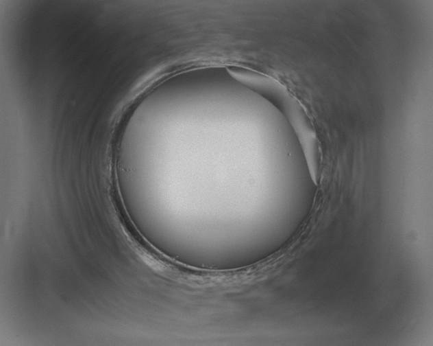 X0000083000005200702160101