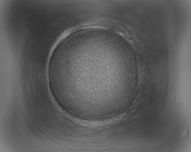 X0000083000006200702160101