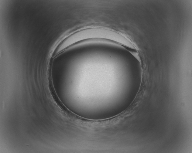 X0000083000007200702160101