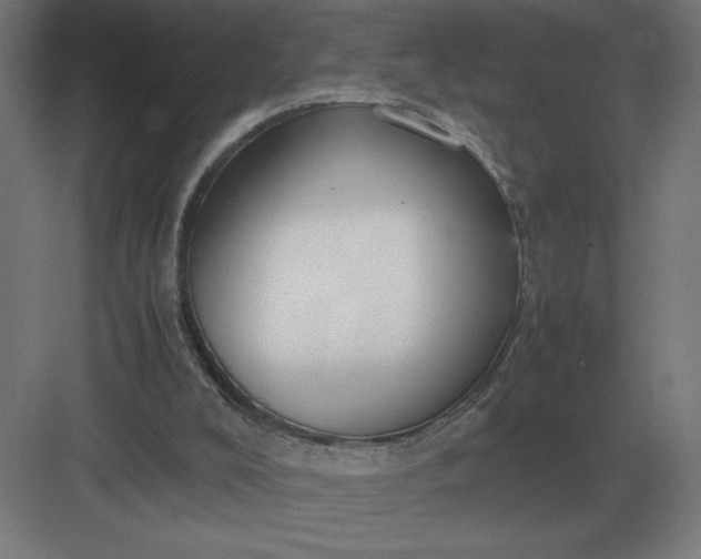 X0000083000008200702160101