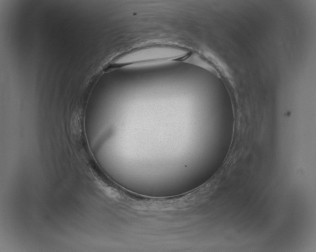 X0000083000009200702160101