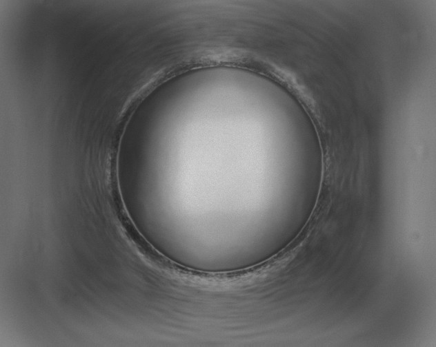 X0000083000010200702160101