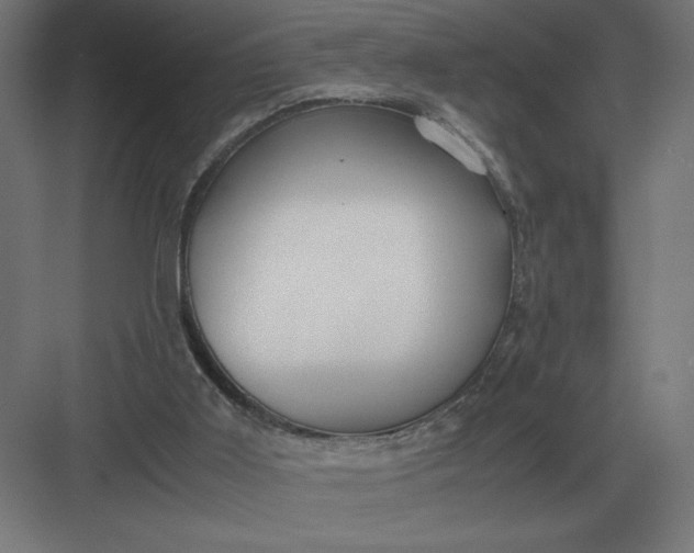 X0000083000011200702160101