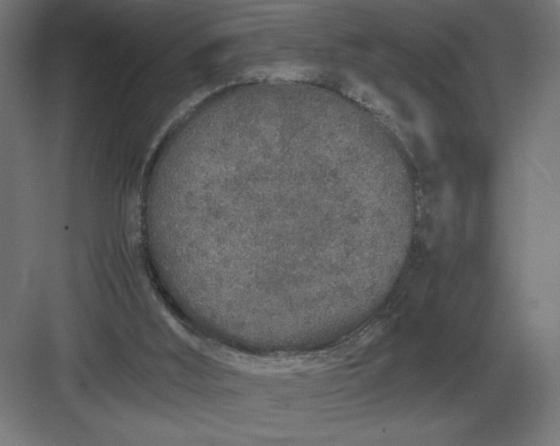 X0000083000012200702160101