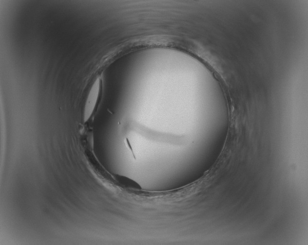 X0000083000013200702160101