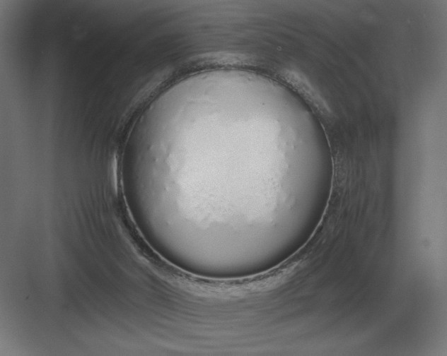 X0000083000014200702160101