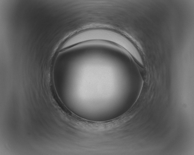 X0000083000015200702160101