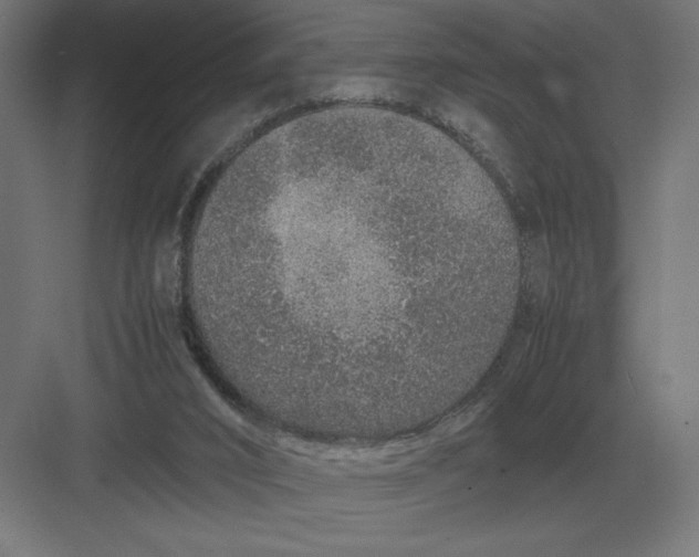 X0000083000016200702160101