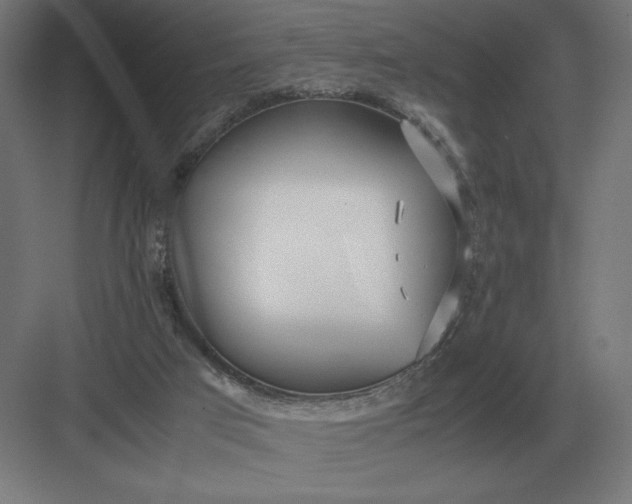 X0000083000017200702160101