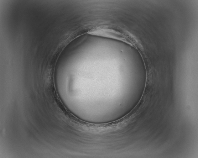 X0000083000018200702160101