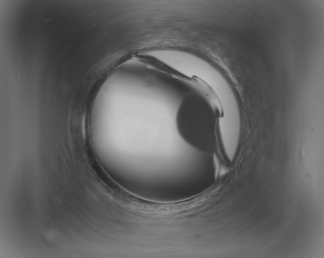 X0000083000019200702160101