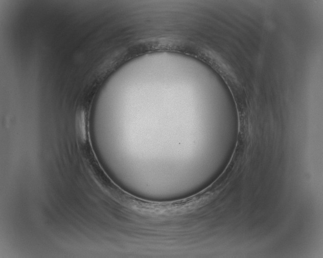 X0000083000022200702160101